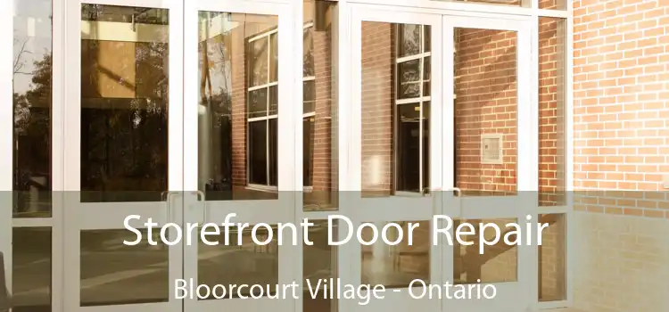 Storefront Door Repair Bloorcourt Village - Ontario