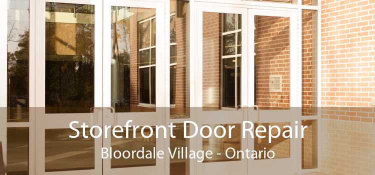 Storefront Door Repair Bloordale Village - Ontario