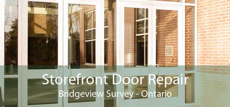 Storefront Door Repair Bridgeview Survey - Ontario
