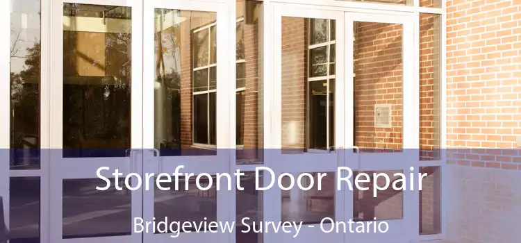 Storefront Door Repair Bridgeview Survey - Ontario