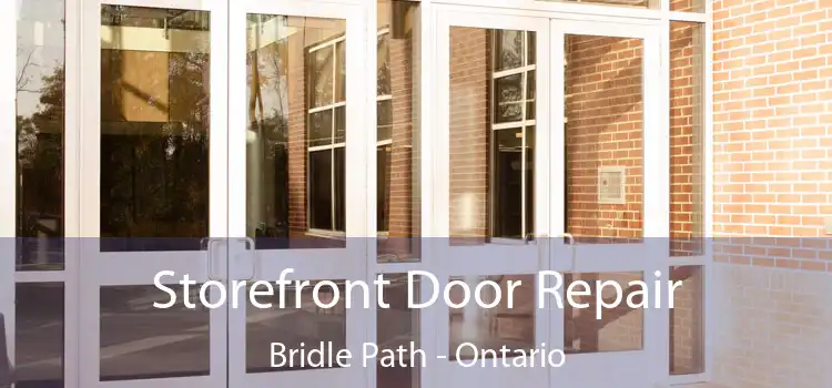 Storefront Door Repair Bridle Path - Ontario