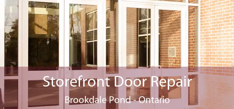 Storefront Door Repair Brookdale Pond - Ontario