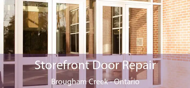 Storefront Door Repair Brougham Creek - Ontario