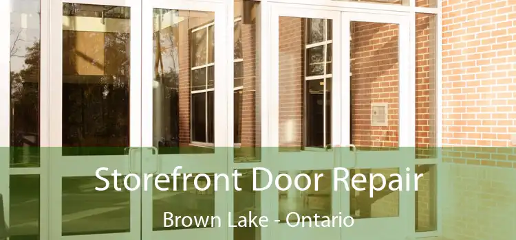 Storefront Door Repair Brown Lake - Ontario