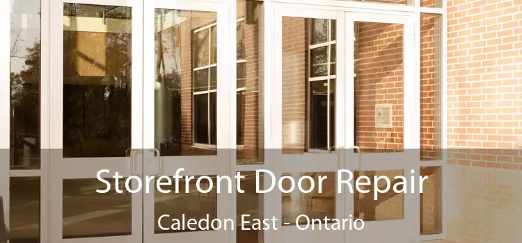 Storefront Door Repair Caledon East - Ontario