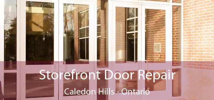 Storefront Door Repair Caledon Hills - Ontario