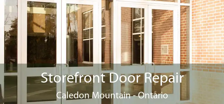 Storefront Door Repair Caledon Mountain - Ontario