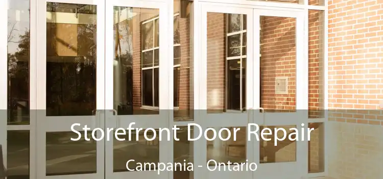 Storefront Door Repair Campania - Ontario
