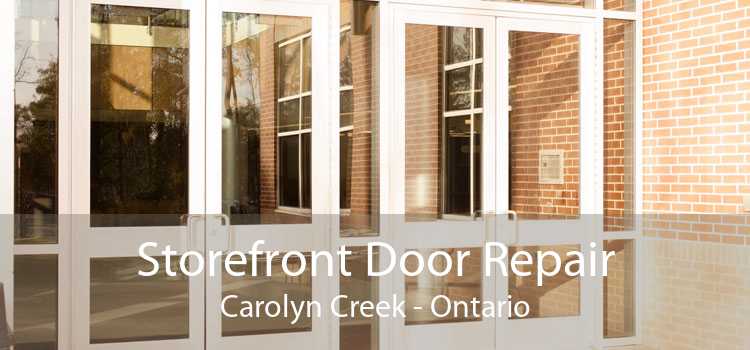 Storefront Door Repair Carolyn Creek - Ontario
