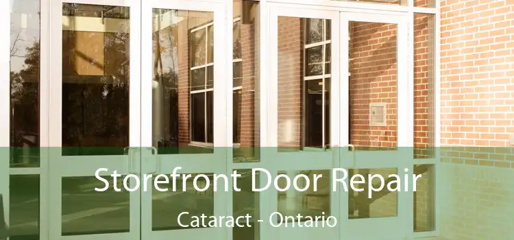 Storefront Door Repair Cataract - Ontario