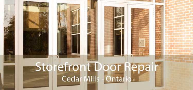 Storefront Door Repair Cedar Mills - Ontario