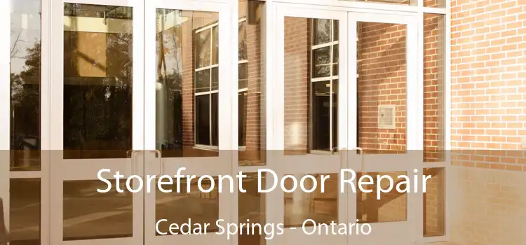 Storefront Door Repair Cedar Springs - Ontario