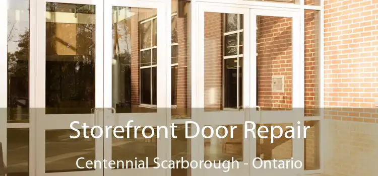 Storefront Door Repair Centennial Scarborough - Ontario