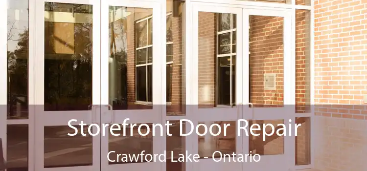 Storefront Door Repair Crawford Lake - Ontario