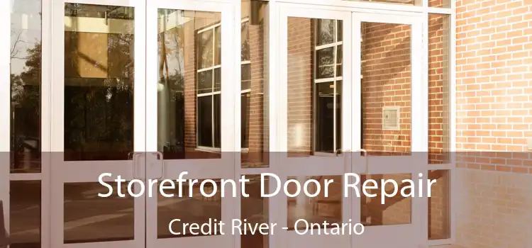 Storefront Door Repair Credit River - Ontario