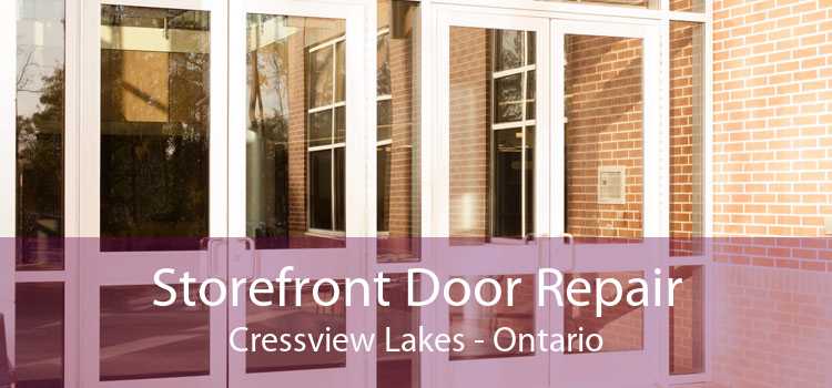 Storefront Door Repair Cressview Lakes - Ontario