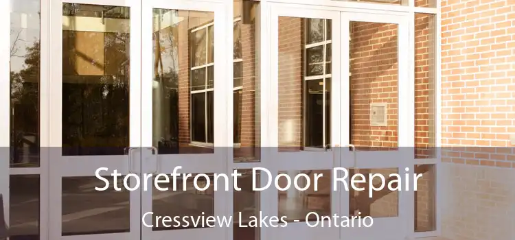 Storefront Door Repair Cressview Lakes - Ontario