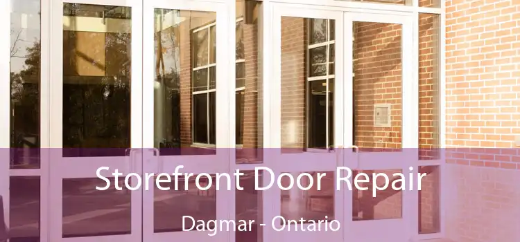 Storefront Door Repair Dagmar - Ontario