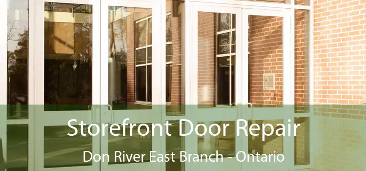 Storefront Door Repair Don River East Branch - Ontario