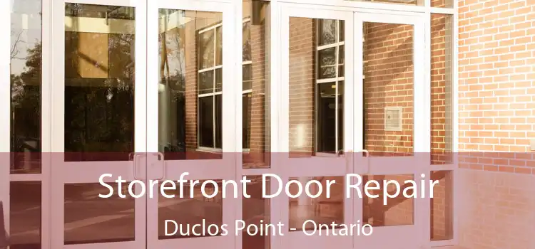 Storefront Door Repair Duclos Point - Ontario