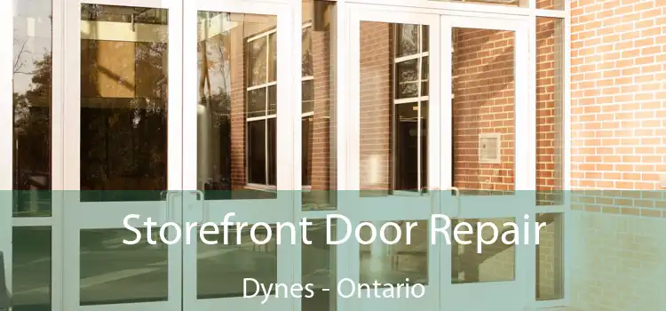 Storefront Door Repair Dynes - Ontario