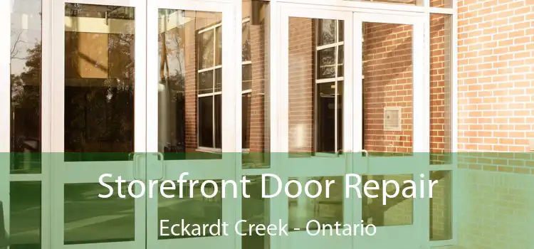Storefront Door Repair Eckardt Creek - Ontario