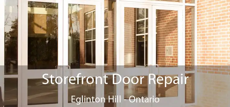 Storefront Door Repair Eglinton Hill - Ontario