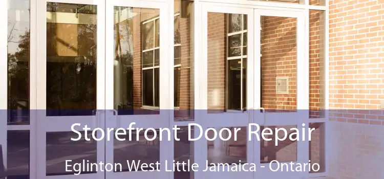 Storefront Door Repair Eglinton West Little Jamaica - Ontario
