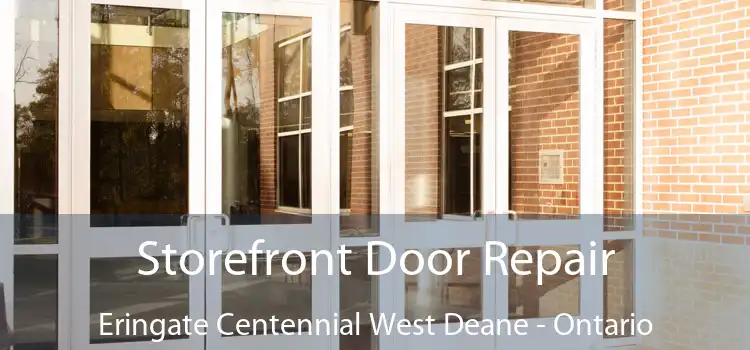 Storefront Door Repair Eringate Centennial West Deane - Ontario