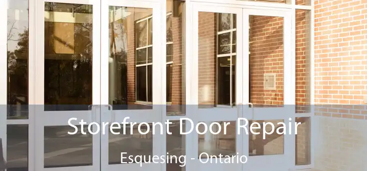 Storefront Door Repair Esquesing - Ontario