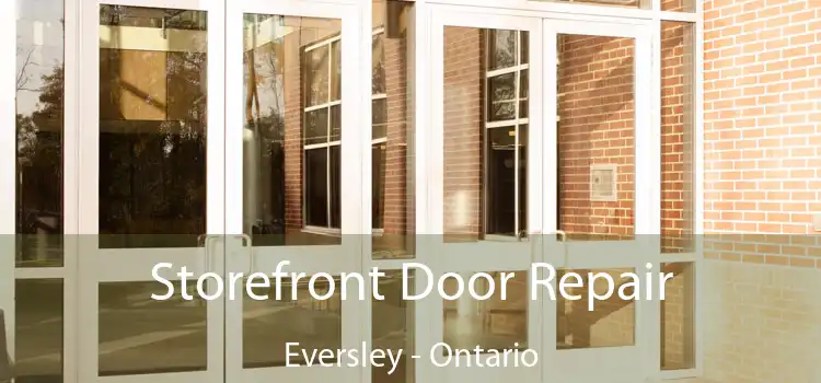 Storefront Door Repair Eversley - Ontario