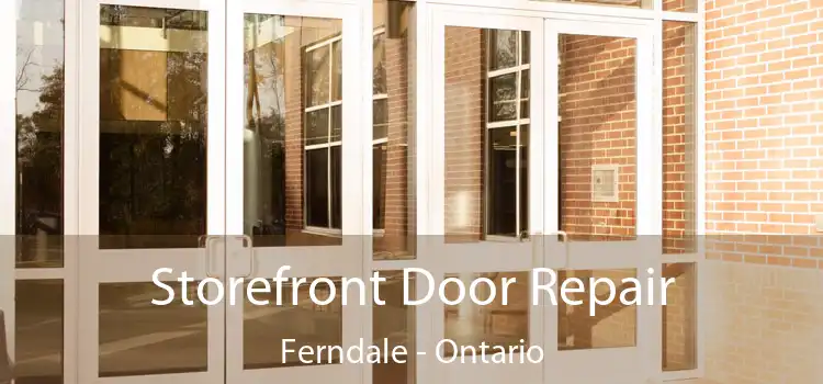 Storefront Door Repair Ferndale - Ontario