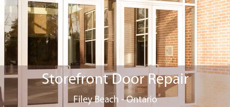 Storefront Door Repair Filey Beach - Ontario