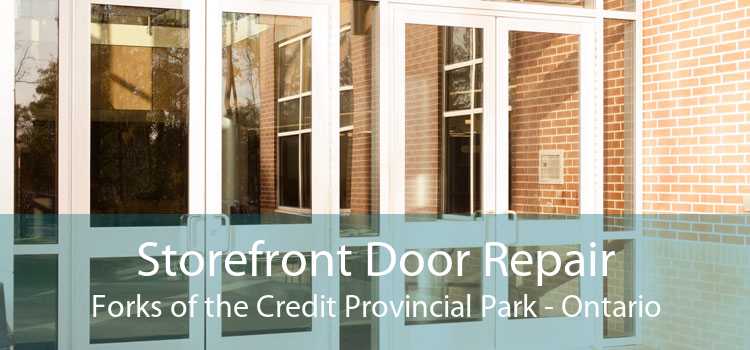 Storefront Door Repair Forks of the Credit Provincial Park - Ontario