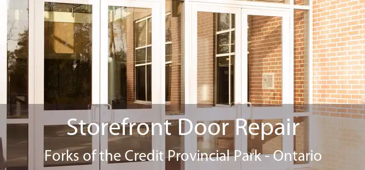 Storefront Door Repair Forks of the Credit Provincial Park - Ontario