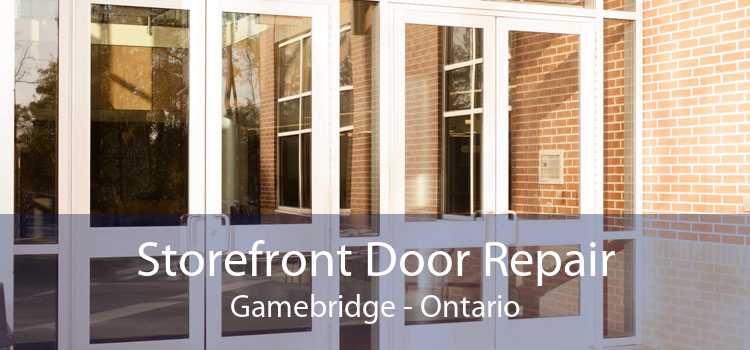 Storefront Door Repair Gamebridge - Ontario