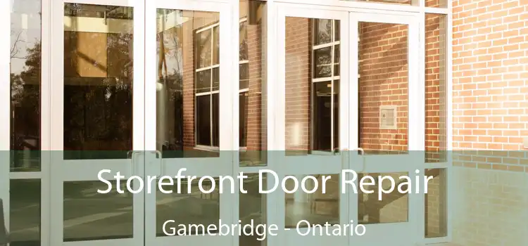 Storefront Door Repair Gamebridge - Ontario