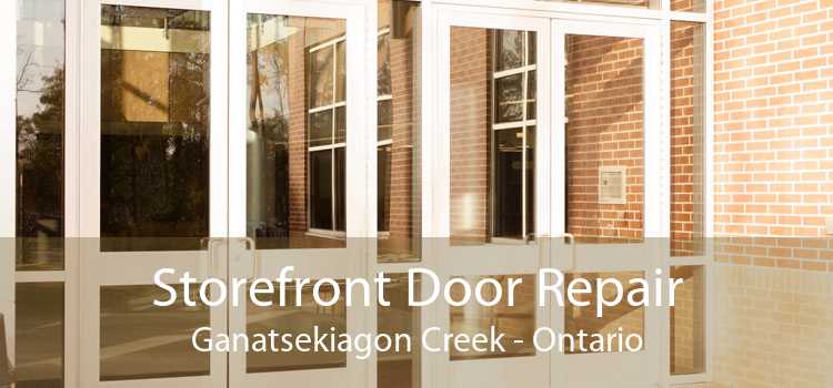Storefront Door Repair Ganatsekiagon Creek - Ontario