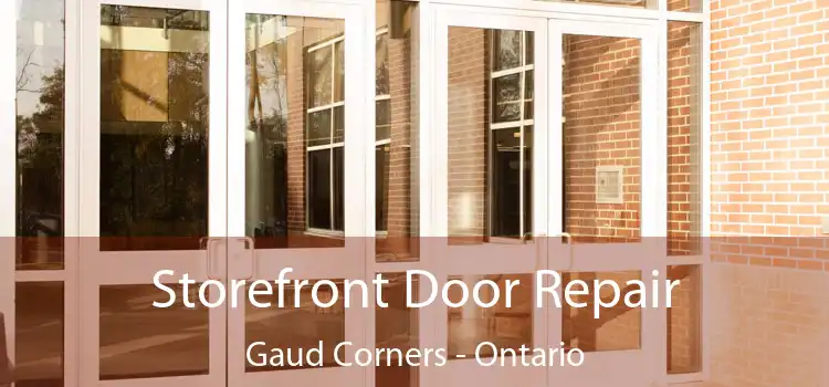 Storefront Door Repair Gaud Corners - Ontario