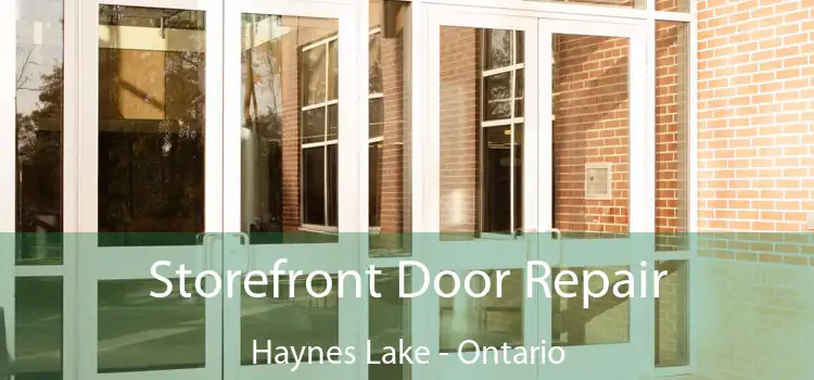 Storefront Door Repair Haynes Lake - Ontario