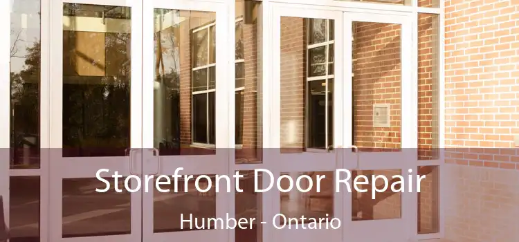 Storefront Door Repair Humber - Ontario