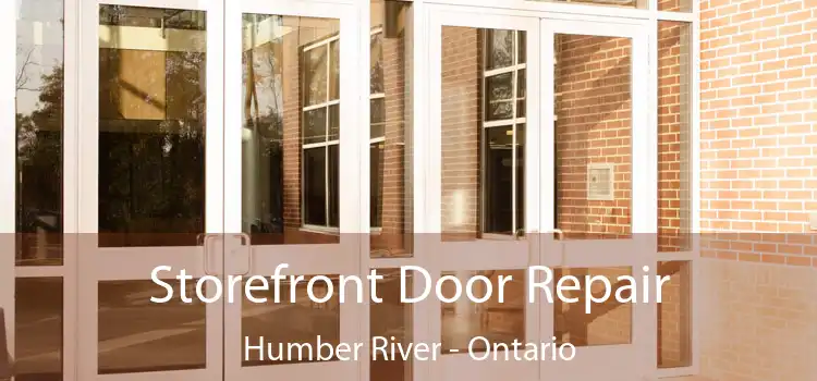 Storefront Door Repair Humber River - Ontario