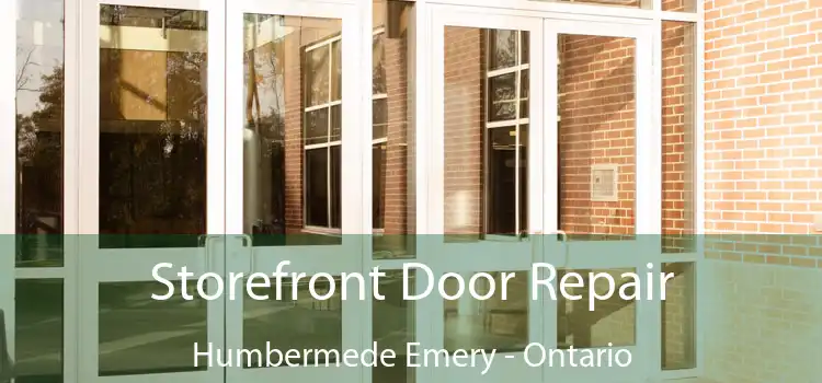 Storefront Door Repair Humbermede Emery - Ontario