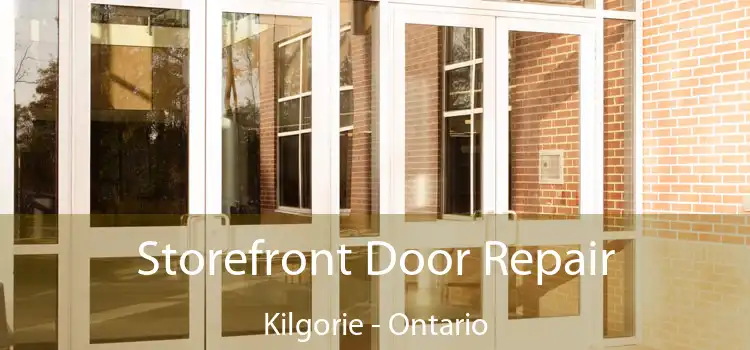 Storefront Door Repair Kilgorie - Ontario