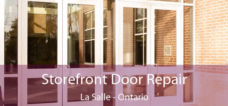 Storefront Door Repair La Salle - Ontario
