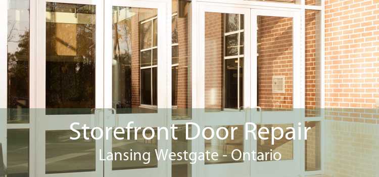 Storefront Door Repair Lansing Westgate - Ontario
