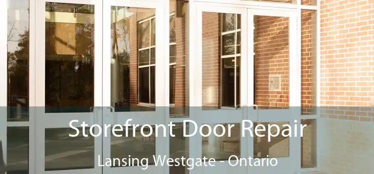 Storefront Door Repair Lansing Westgate - Ontario