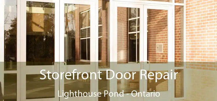 Storefront Door Repair Lighthouse Pond - Ontario