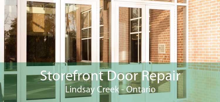 Storefront Door Repair Lindsay Creek - Ontario