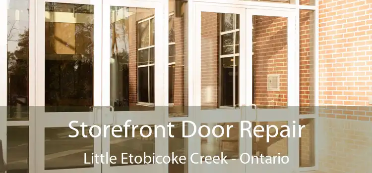 Storefront Door Repair Little Etobicoke Creek - Ontario